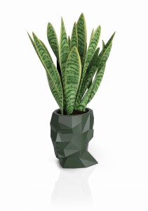 Designerska donica Monumo Adonis butelkowa zieleń z wewnętrzną półką 40 cm