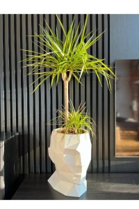 Designerska donica biurowa Monumo Adonis