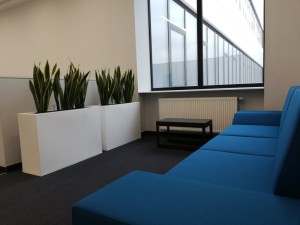 Wysoka prostokątna donica do salonu Longerino