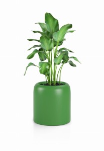 Okrągła nowoczesna donica Monumo Ambienti limonka pojedyncze dno 39 cm