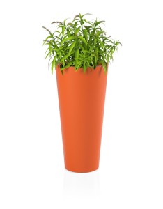 Donica Habana pomarańczowa + roślina.jpg