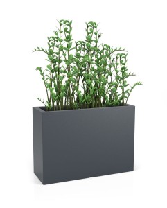 Donica Longerino antracyt + roślina.jpg