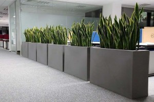 Longerino office 234.jpg