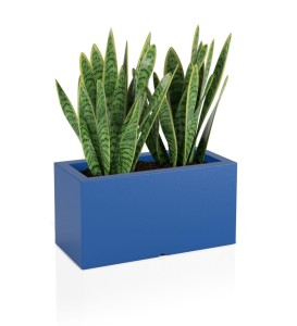 Donica Lungo niebieska + roślina.jpg