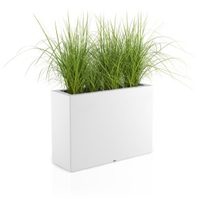 Donica Lungo Grande biała + roślina.jpg