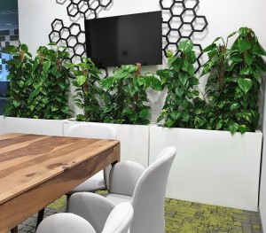 Lungo Maxi aranż.JPG