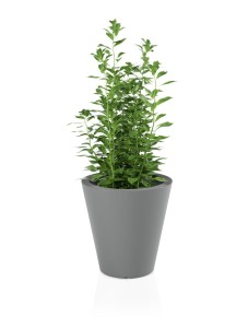 Donica OVO szara + roślina.jpg