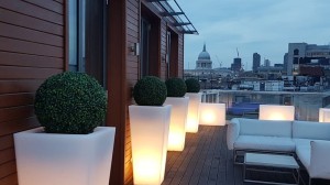 Longerino light taras Londyn 10.jpg