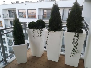 IMG_20190926_180021 (1).jpg