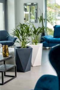 vaso (5).jpg