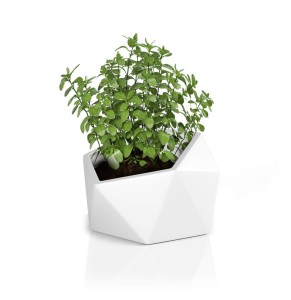 Donica Vesari biała + roślina.jpg