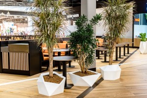 Donica Vesari 28.jpg