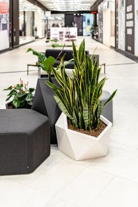 Donica Vesari 23.jpg