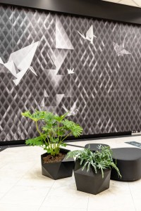 Donica Vesari 24.jpg