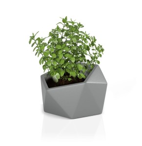 Donica Vesari szara + roślina.jpg