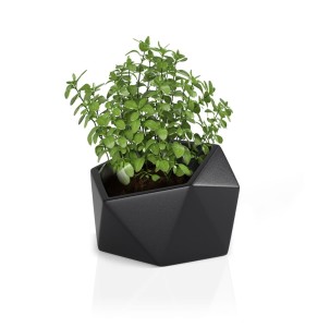 Donica Vesari czarna + roślina.jpg