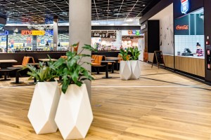 Donica Volcano 29.jpg