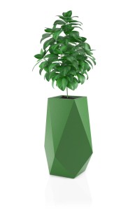 Donica Volcano limonka + roślina.jpg