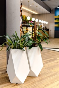 Donica Volcano 28 .jpg