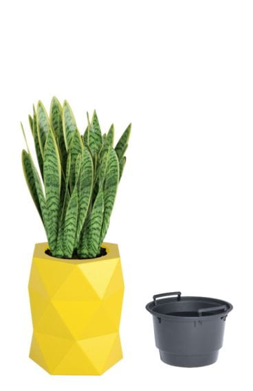 Nowoczesna donica Modena żółta do ogrodu z wkładem.jpg