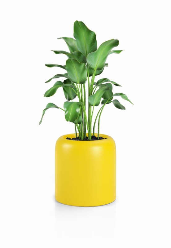 Donica Ambienti żółta 39h.jpg