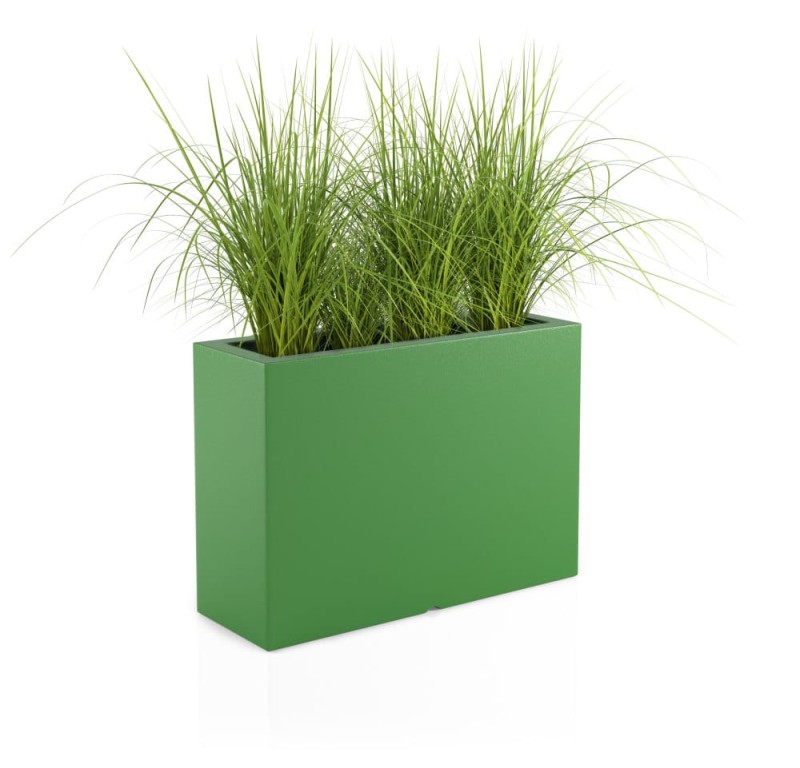 Donica Lungo Grande limonka + roślina.jpg