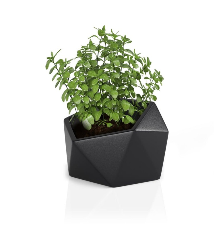Donica Vesari czarna + roślina.jpg