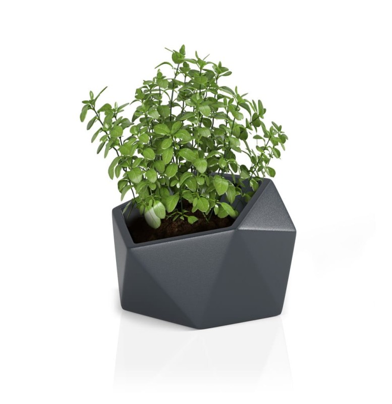 Donica Vesari antracyt + roślina.jpg