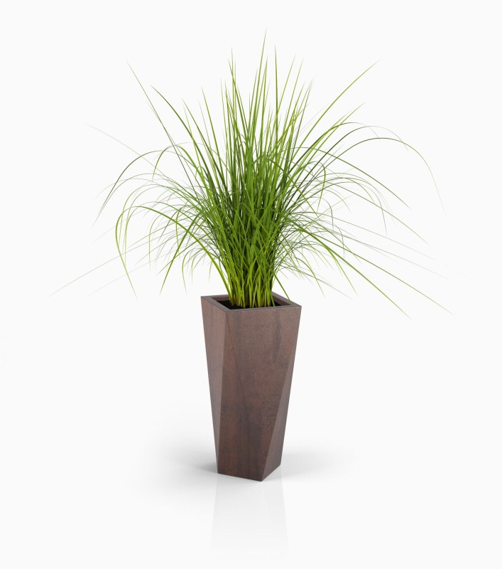 Donica Vaso 72h Corten + roślina.jpg