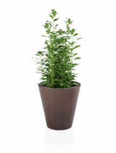 Okrągła klasyczna donica Ovo corten effect z wewnętrzną półką 50 cm