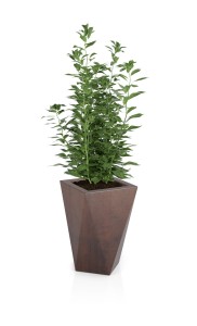 Designerska donica Vaso  corten effect  z wewnętrzną półką 60 cm