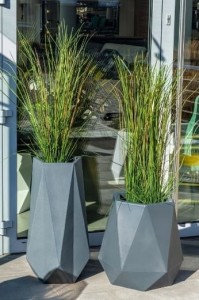 Flavi ar5.jpg