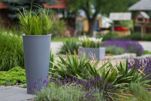 Habana aranż 1.jpg