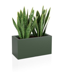 Podłużna prostokątna donica Lungo butelkowa zieleń pojedyncze dno
