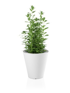 Okrągła klasyczna donica Ovo biała pojedyncze dno 50 cm