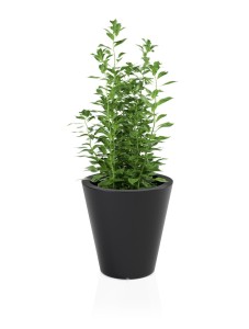 Okrągła klasyczna donica Ovo czarna pojedyncze dno 50 cm