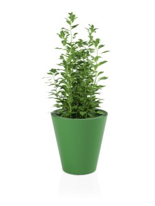 Okrągła klasyczna donica Ovo limonka pojedyncze dno 50 cm