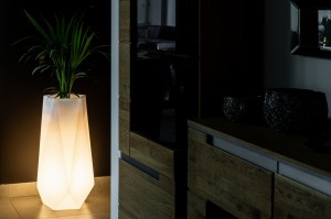 1a.jpg
