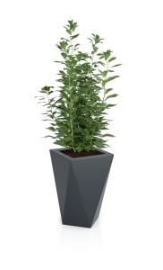 Designerska donica Vaso antracytowa z wewnętrzną półką 60 cm