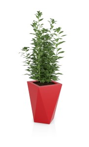 Designerska donica Vaso czerwona pojedyncze dno 60 cm 